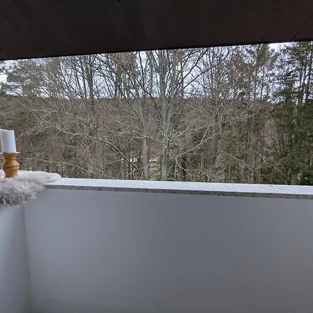 Wald Schoenau Apartmán Schönau an der Brend