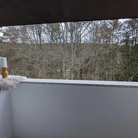 Wald Schoenau Apartment Schonau an der Brend