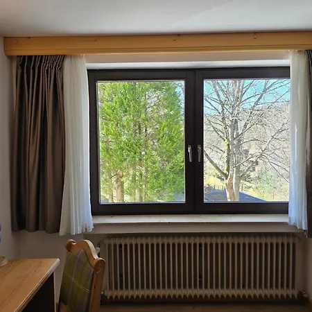 Wald Schoenau *